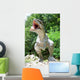 Dinosaur Wall Mural