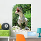 Dinosaur Wall Mural