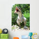 Dinosaur Wall Mural