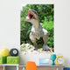 Dinosaur Wall Mural