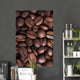 Coffee Wall Mural