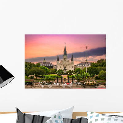 St Louis Cathedral Louisiana Wall Mural shown on a wall