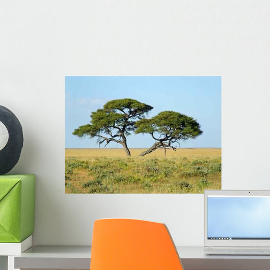 African Landscape Wall Decal