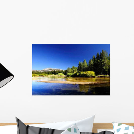 Tuolumne Meadows Lake Wall Decal