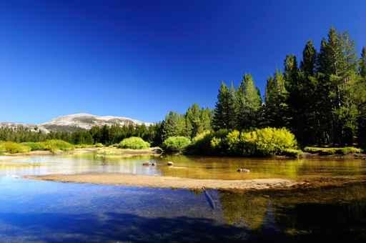 Tuolumne Meadows Lake Wall Decal