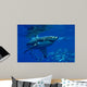 Great White Shark Wall Mural
