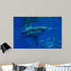 Great White Shark Wall Mural