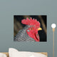 Rooster Wall Mural