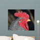 Rooster Wall Mural