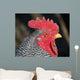 Rooster Wall Mural