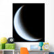 Crescent moon Wall Mural