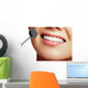 Healthy woman teeth and a dentist mouth mirror. Dental hygiene Wall Decal