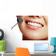 Healthy woman teeth and a dentist mouth mirror. Dental hygiene Wall Decal