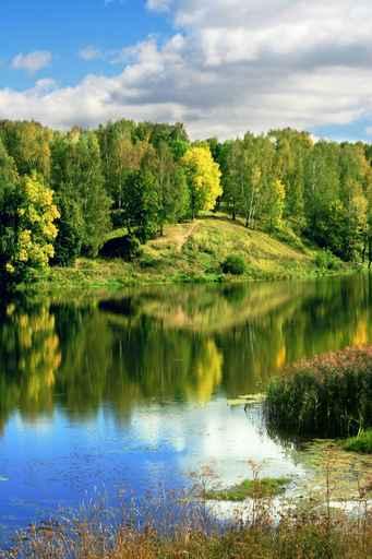 Blue River Wall Decal
