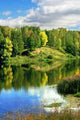 Blue River Wall Decal