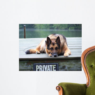 German Shepherd Dock Wall Mural shown on a wall