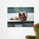 German Shepherd on Dock Wall Mural