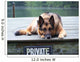 German Shepherd on Dock Wall Mural