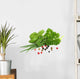 Herbs Wall Decal