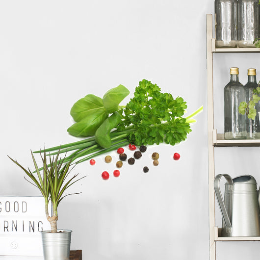Herbs Wall Decal