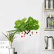 Herbs Wall Decal