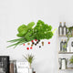 Herbs Wall Decal