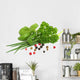 Herbs Wall Decal