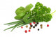 Herbs Wall Decal
