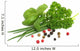 Herbs Wall Decal