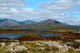 Connemara Wall Decal