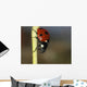 Ladybug Wall Mural
