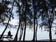 silhouette lonely man Wall Mural