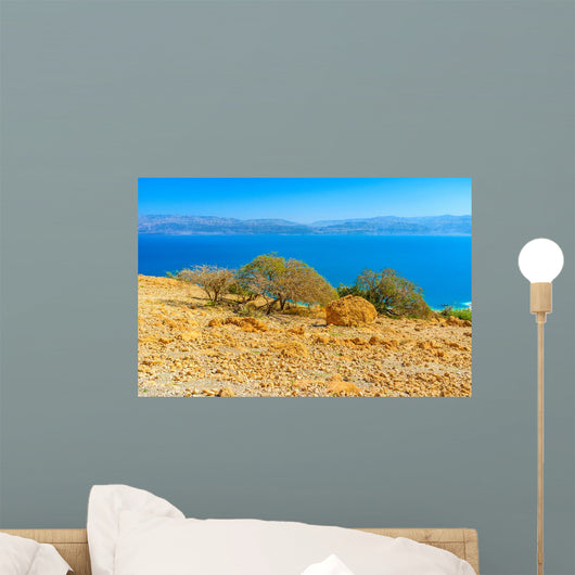 Trees Slope Wall Decal