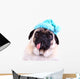Funny pug dog  wearing  a blue winter hat Wall Decal