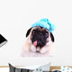 Funny pug dog  wearing  a blue winter hat Wall Decal