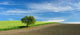 Landscape Wall Decal Design 2