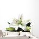 Lilly Tall Wall Decal