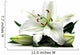 Lilly Tall Wall Decal