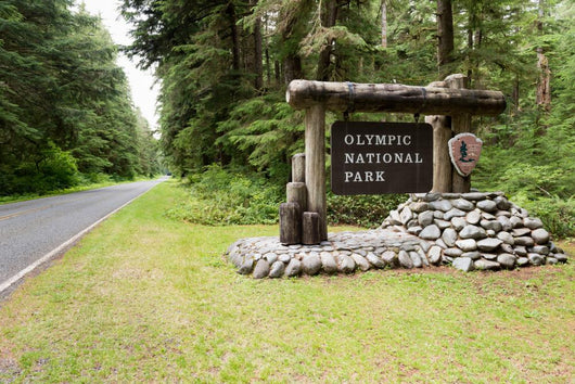 Rialto Beach Washington at the Olympic National Park Wall Mural