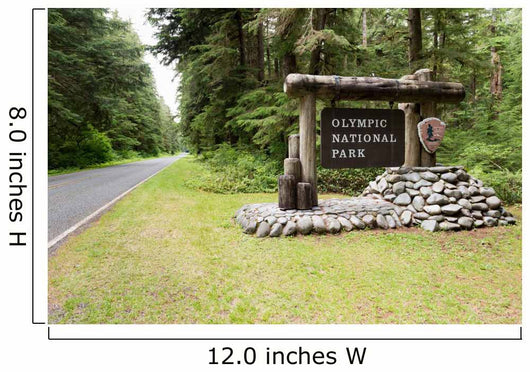 Rialto Beach Washington at the Olympic National Park Wall Mural