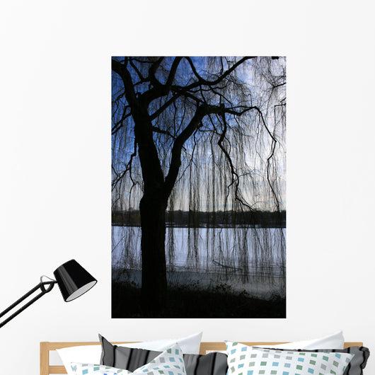 Trauerweide Wall Mural