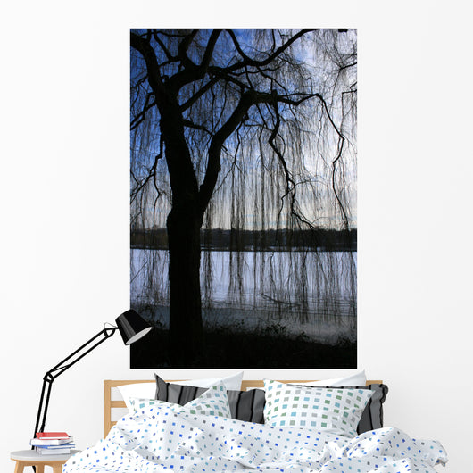 Trauerweide Wall Mural