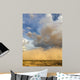 Storm clouds build as a Haboob approaches Wall Mural