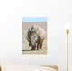 African white rhino with very large horn Wall Mural
