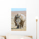 African white rhino with very large horn Wall Mural