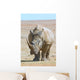 African white rhino with very large horn Wall Mural