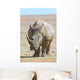 African white rhino with very large horn Wall Mural