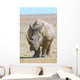 African white rhino with very large horn Wall Mural