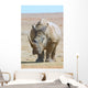 African white rhino with very large horn Wall Mural