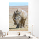 African white rhino with very large horn Wall Mural